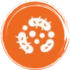 Cross-Contamination Prevention